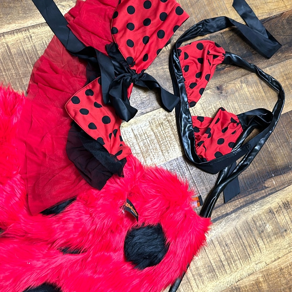 J. Valentine lady bug